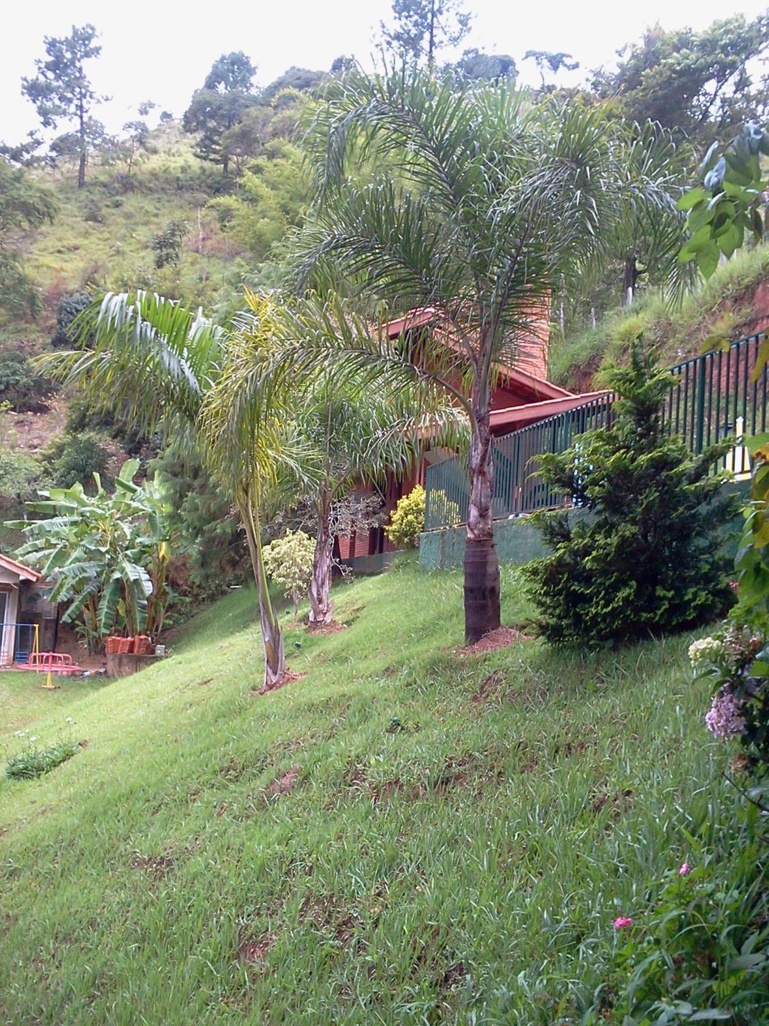 Chalés Pousada Serra Negra