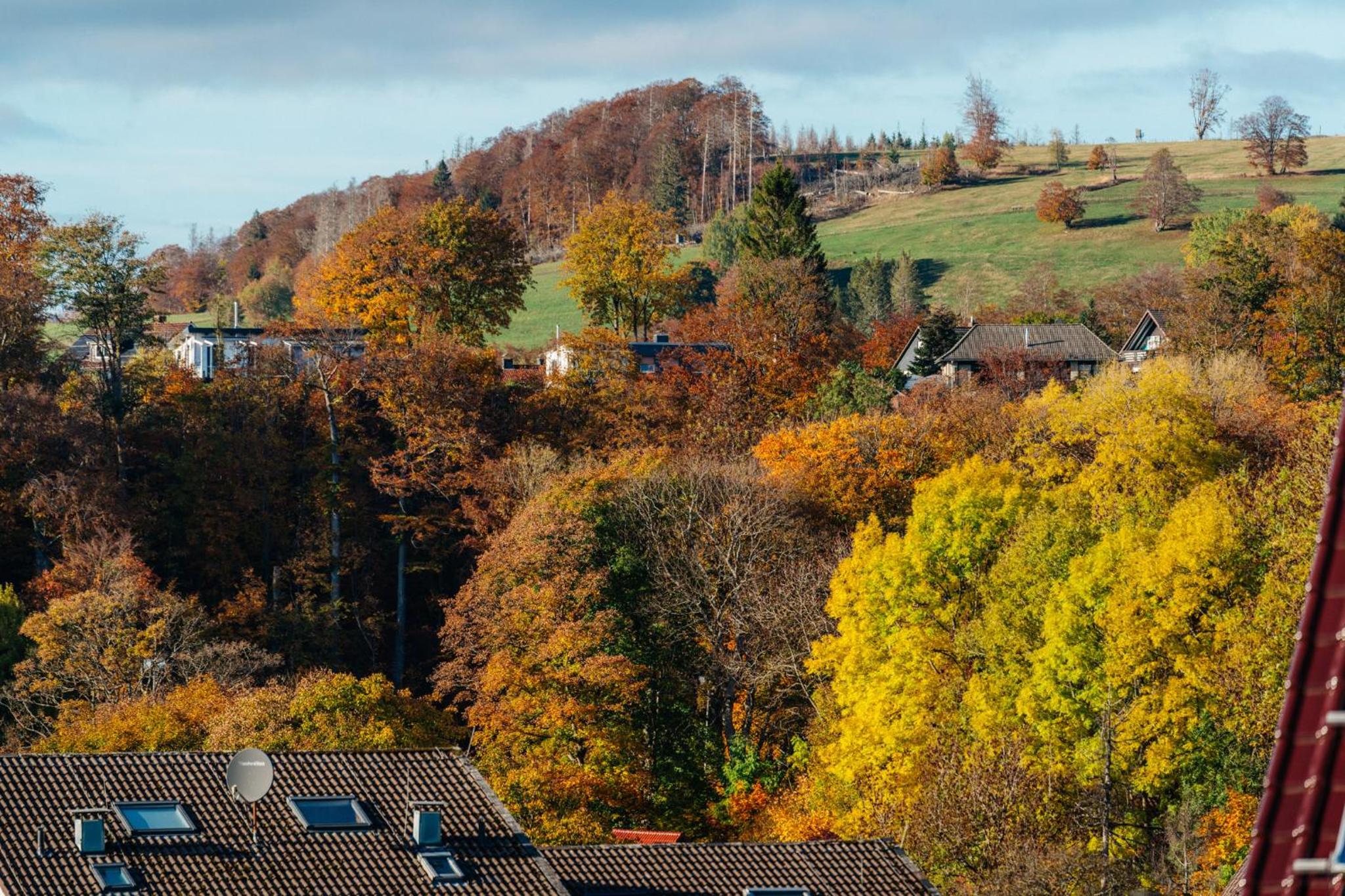 Fichtenblick