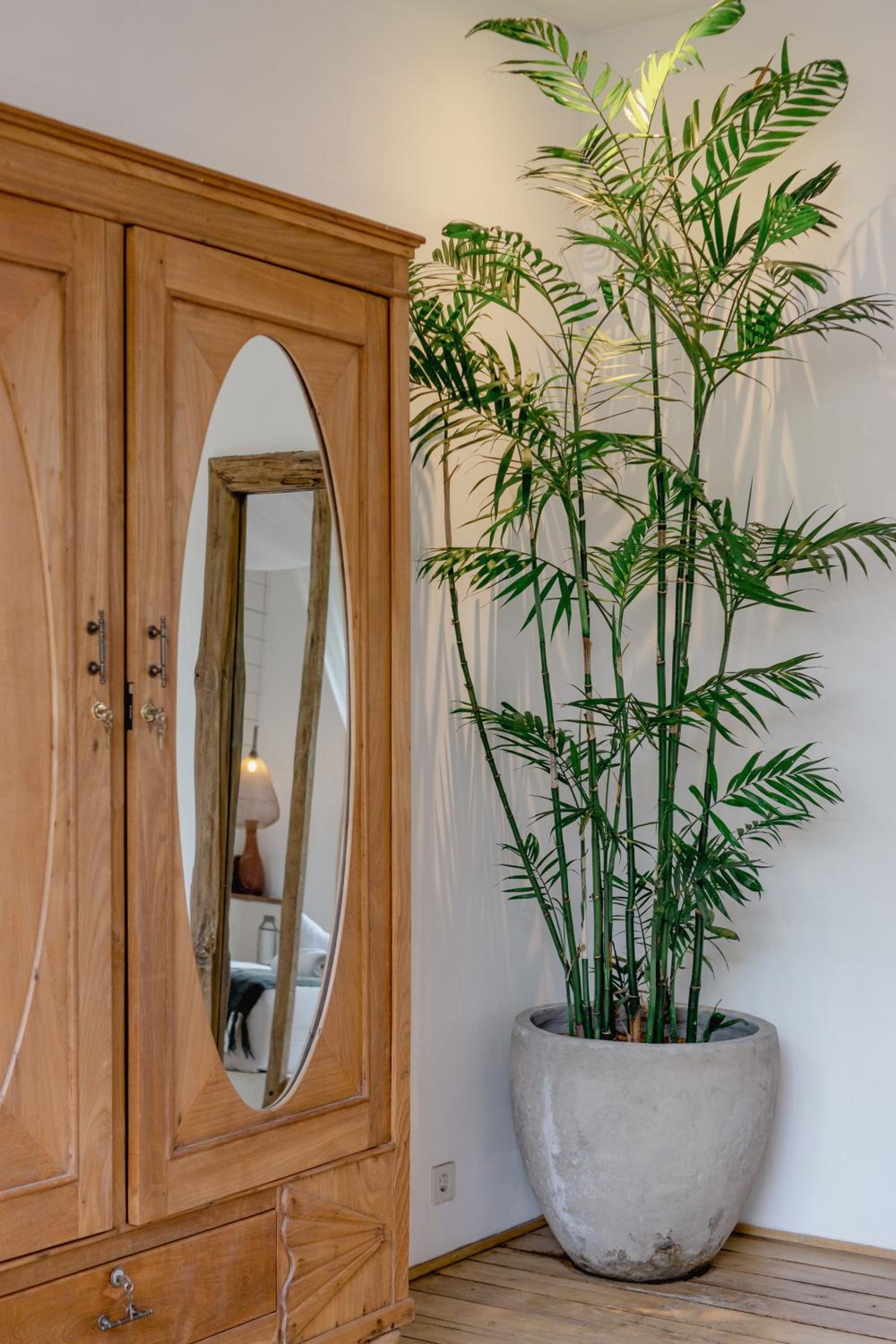 Villa Elwood - Stylish Boho Chic 3BR Villa in Umalas, Private Parking, Near Finns Canggu view 4