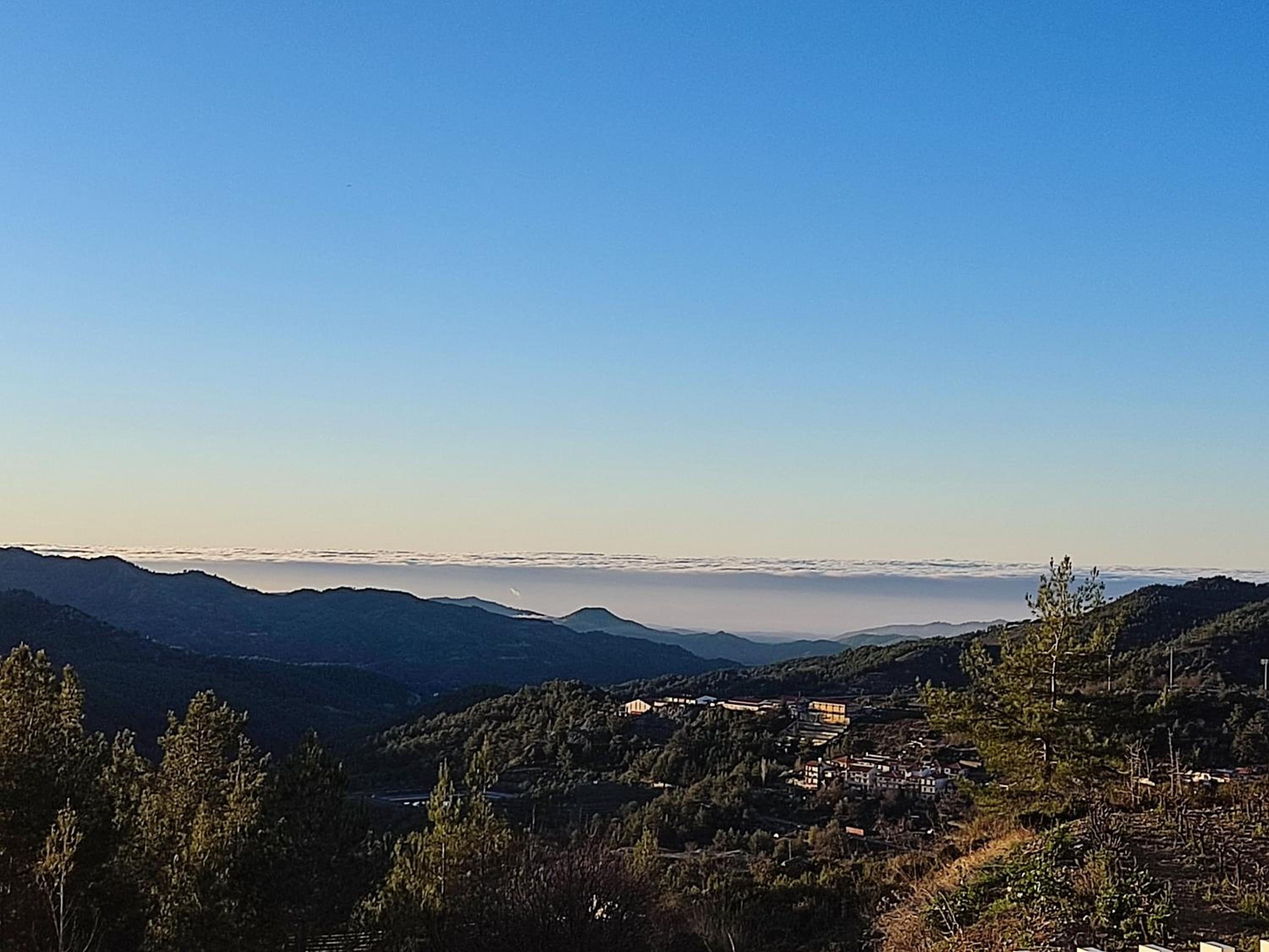 Arxaia skala