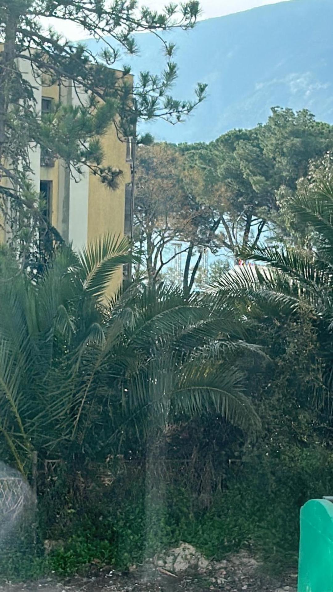 Photo 47