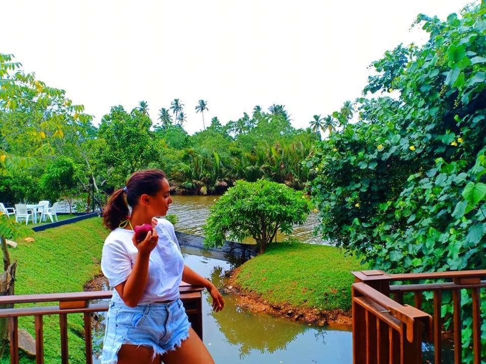 Weligama Third Eye Resort view 5