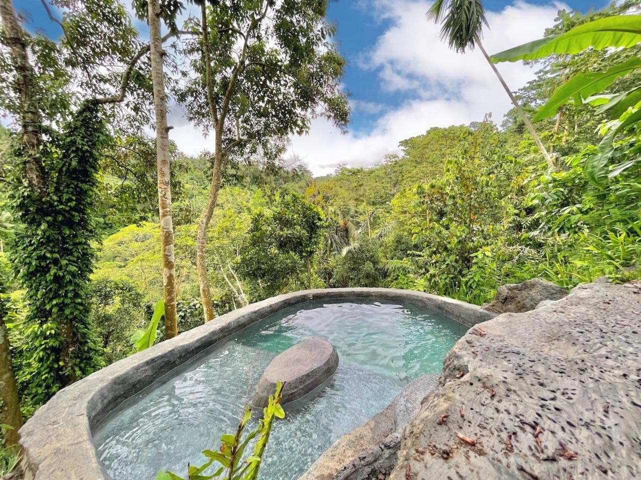 Royal Kemala Villa - Jungle View with Private Pool view 3