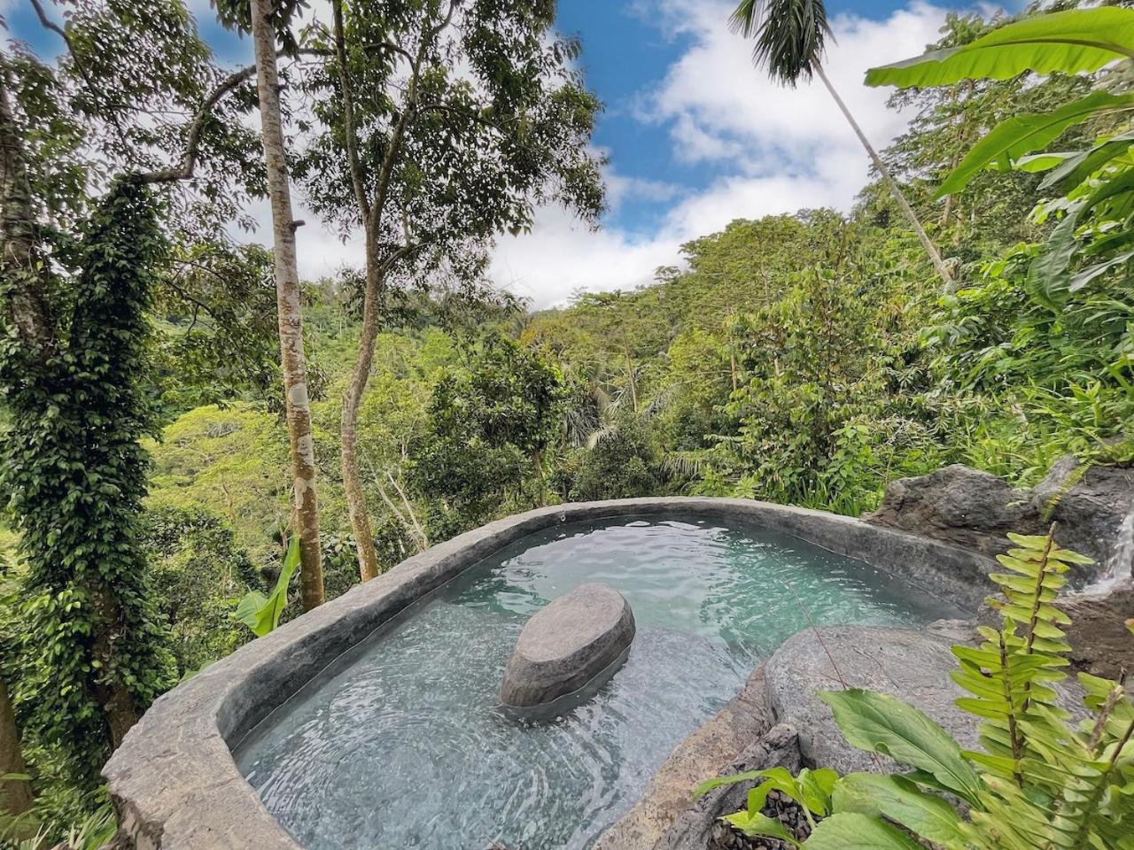 Royal Kemala Villa - Jungle View with Private Pool view 5