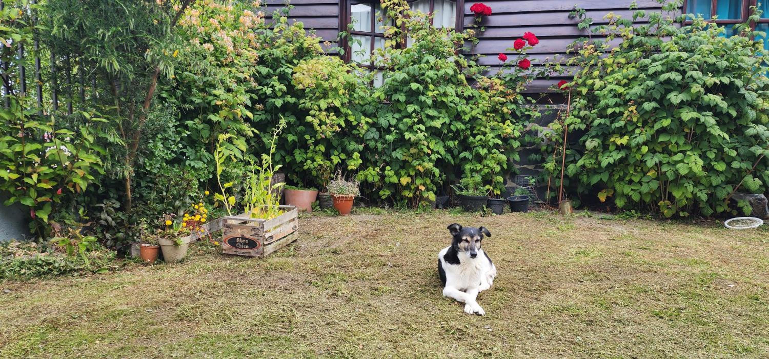 LA CASA DE FRIDA