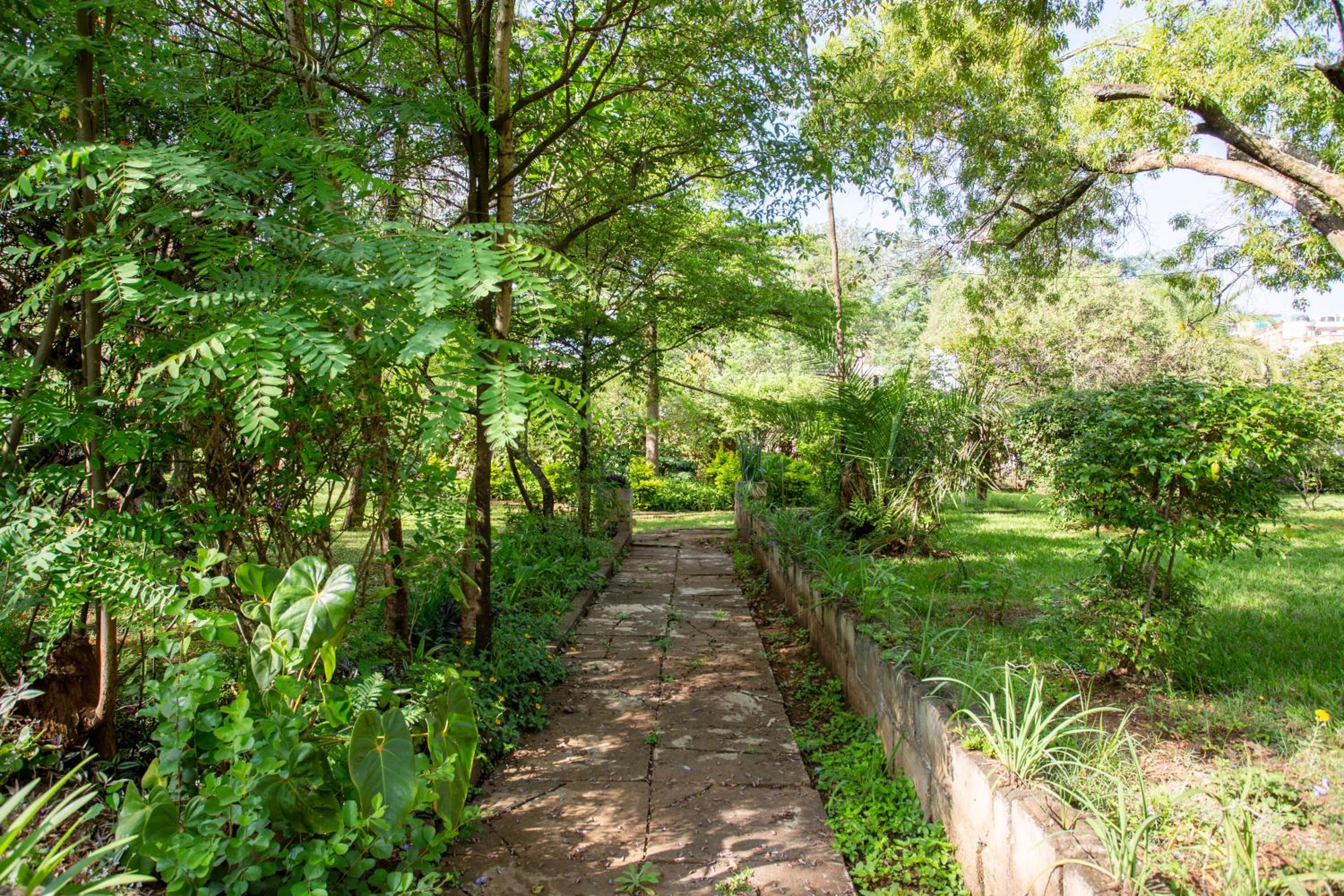 Yarkona Hedge view 3