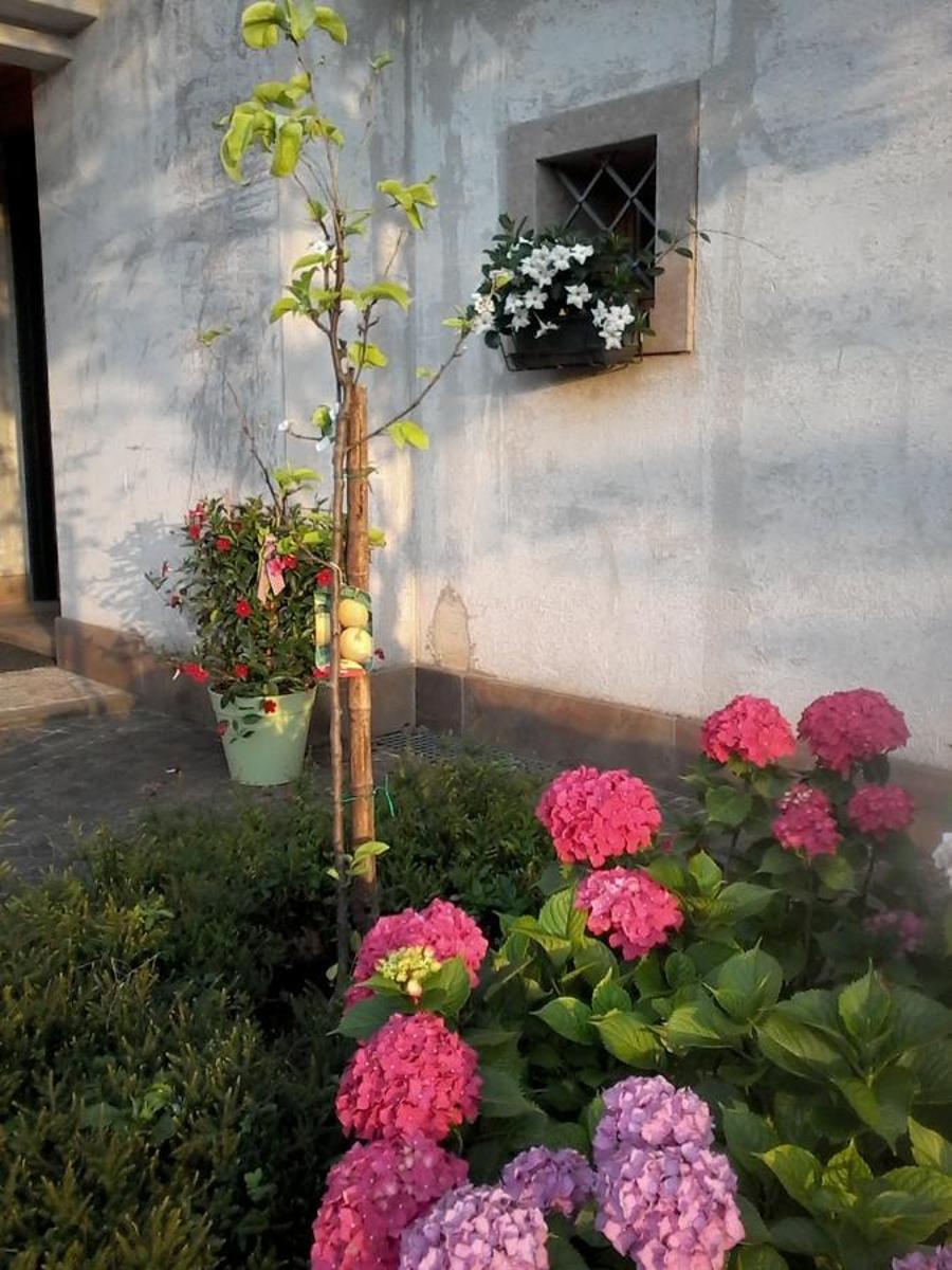 Photo 37