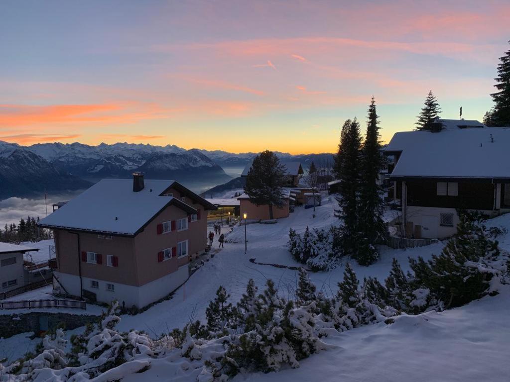 Rigiana auf der Königin der Berge
