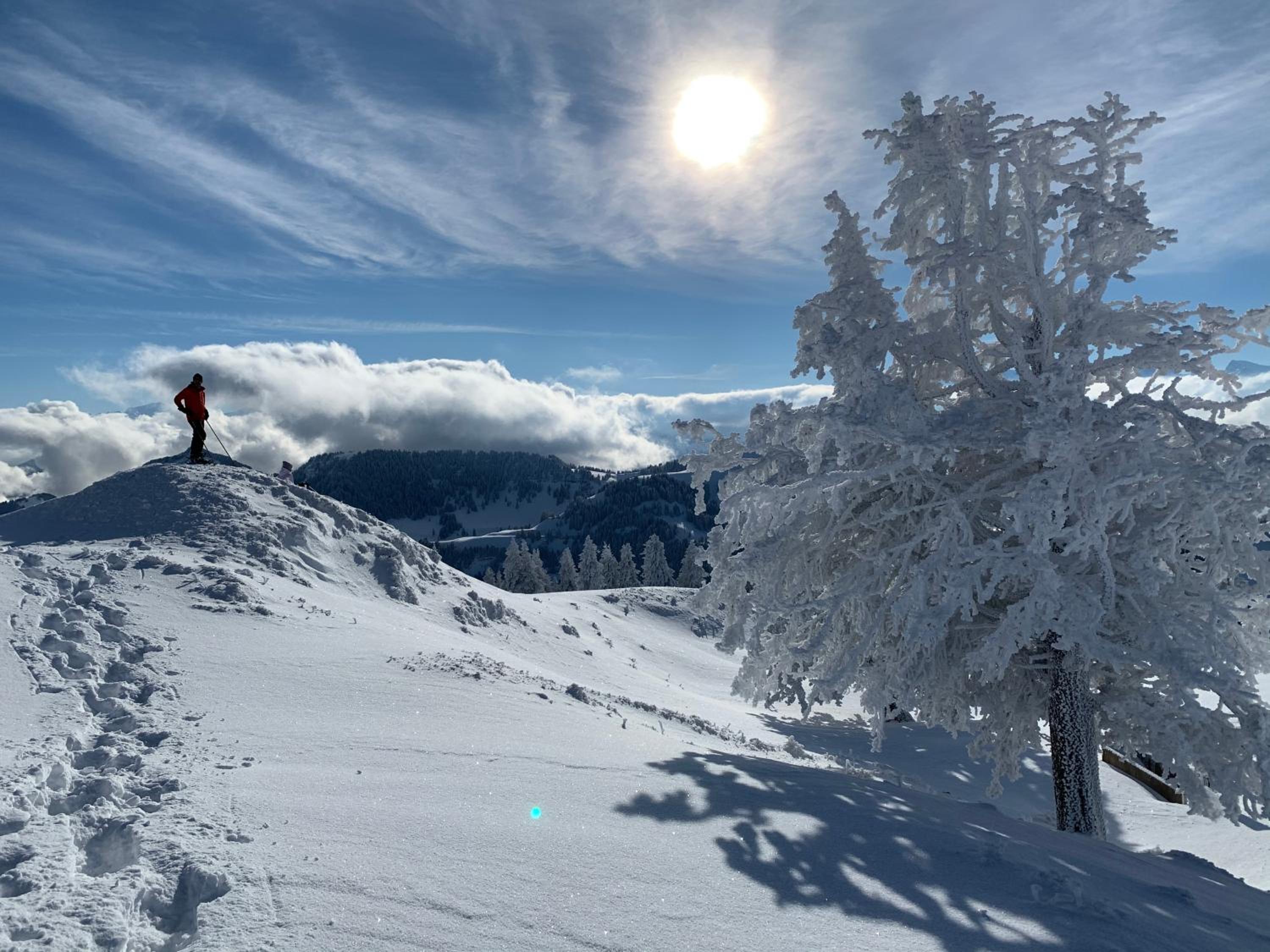 Rigiana auf der Königin der Berge
