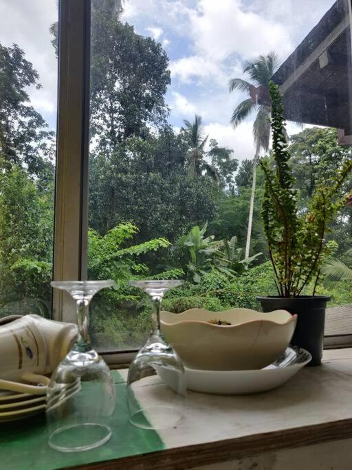 'Kolamba Gedara' green apartment