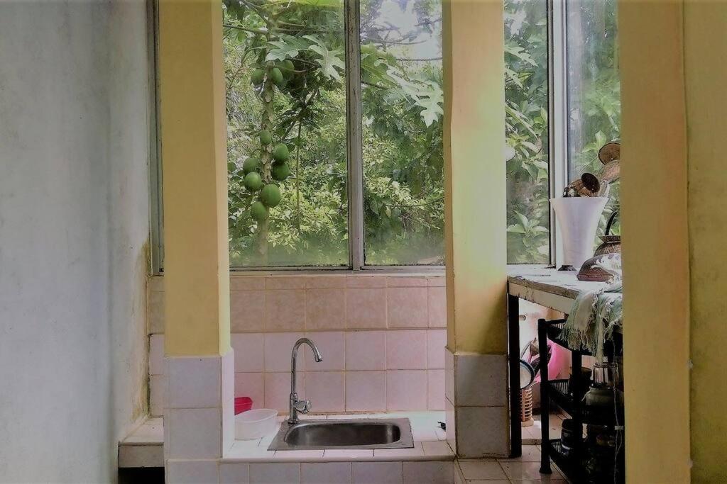 'Kolamba Gedara' green apartment