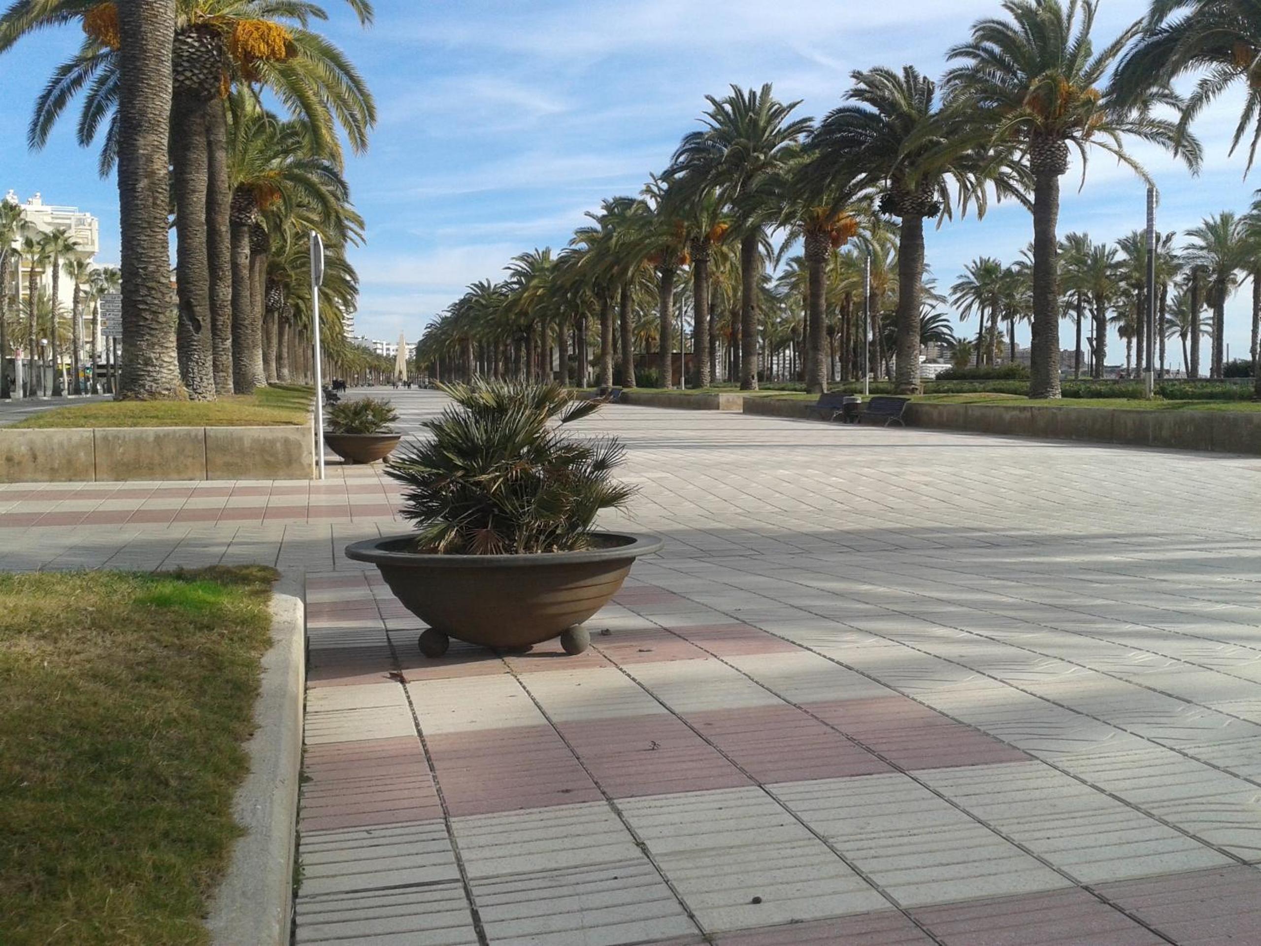 Apartamentos TSS Alboran