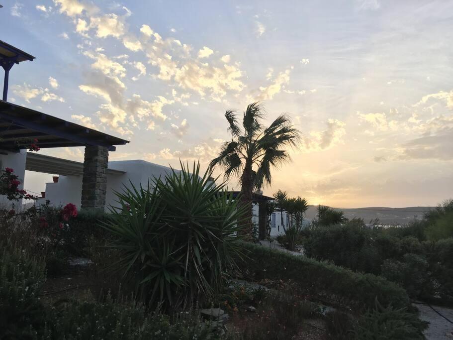 Beach Lodge Paros @ Kite Beach