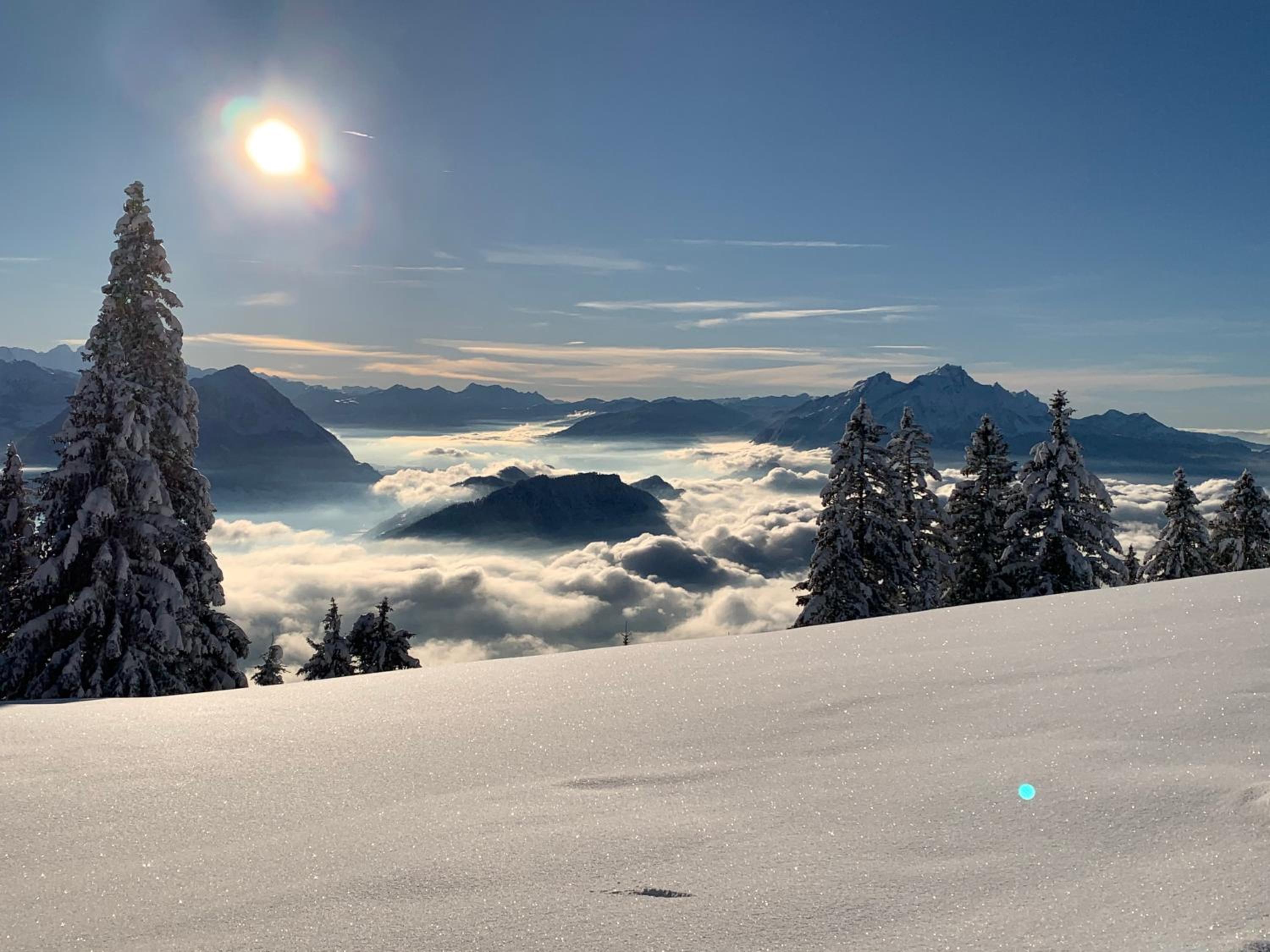 Rigiana auf der Königin der Berge