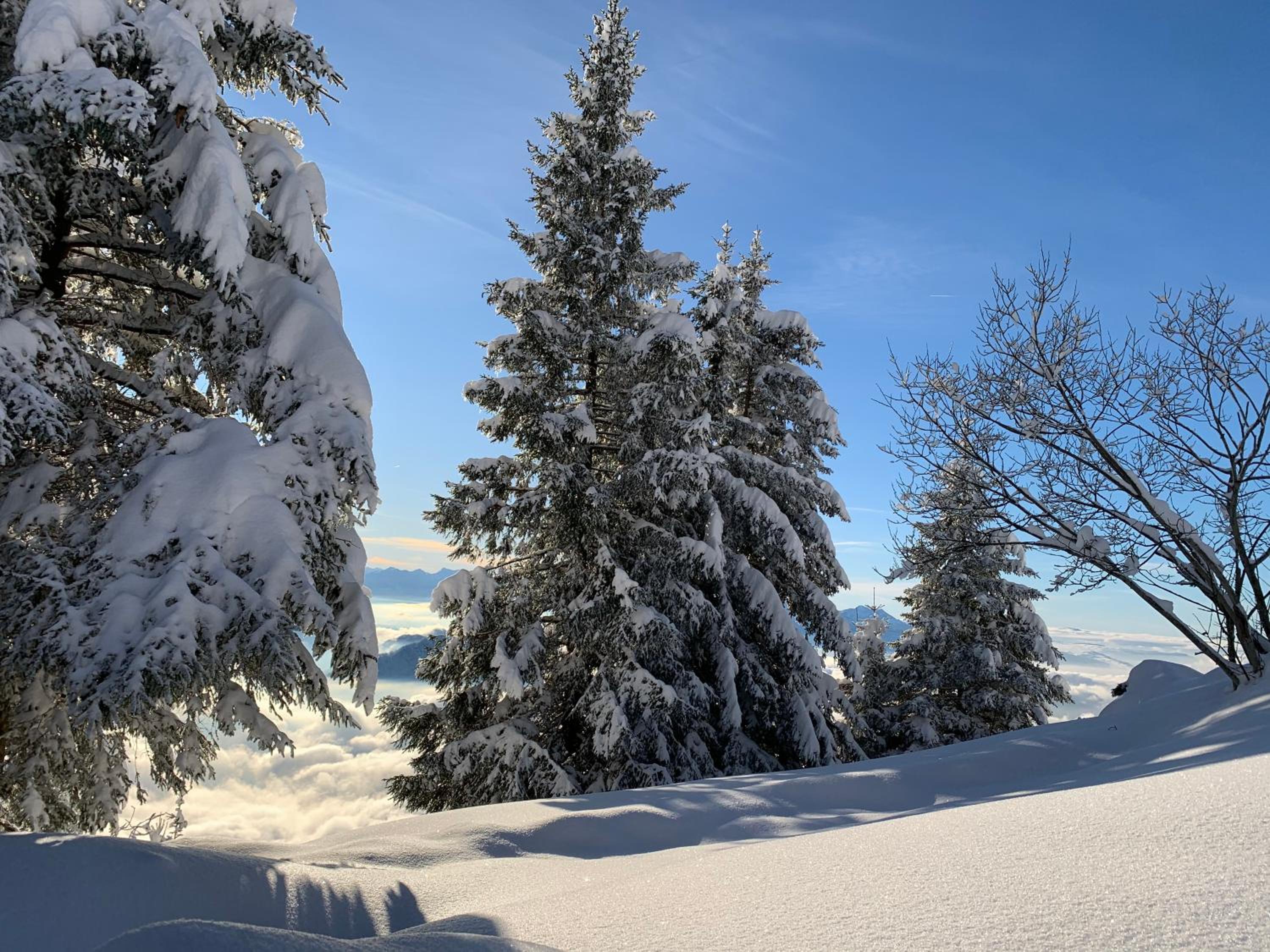Rigiana auf der Königin der Berge