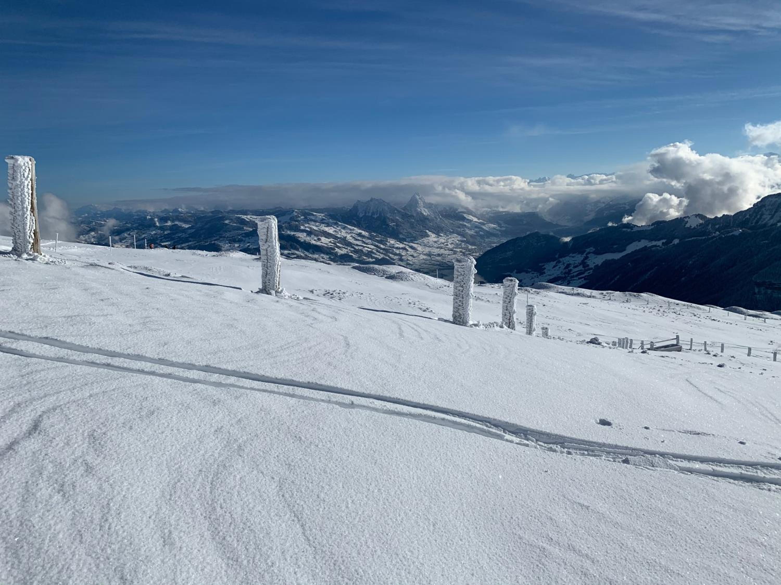 Rigiana auf der Königin der Berge
