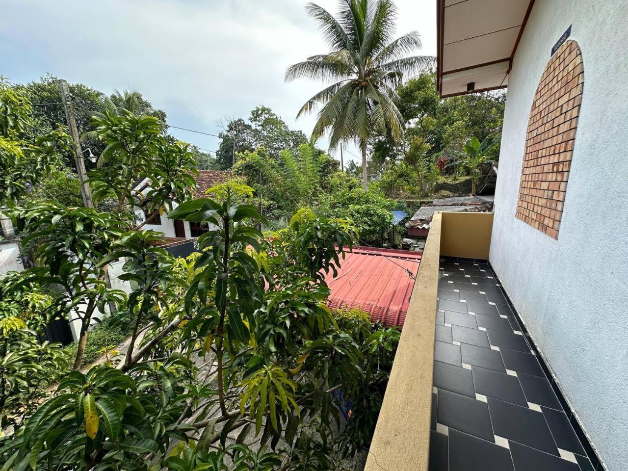 Jungle Apartment