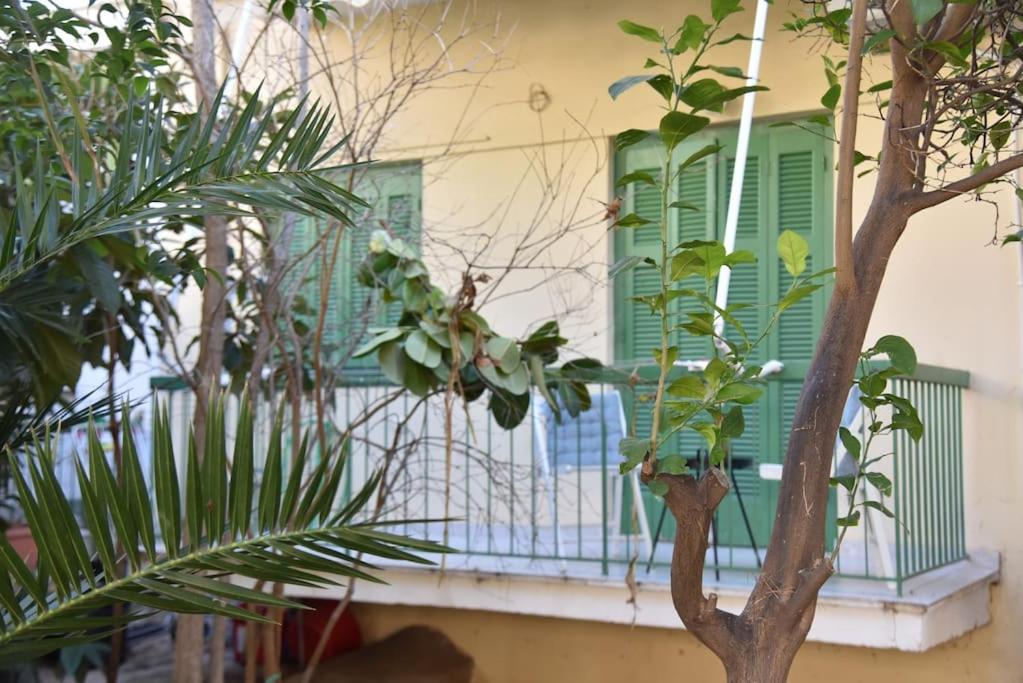 Tiny Treasure Apartment