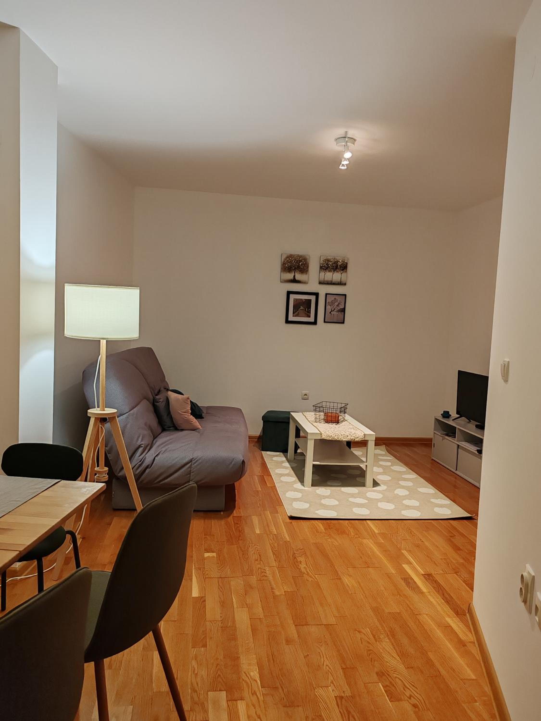 Apartman Kosta Novi Sad view 4