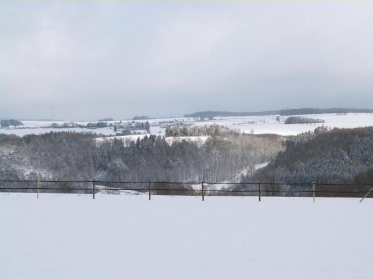 Villa Mosel
