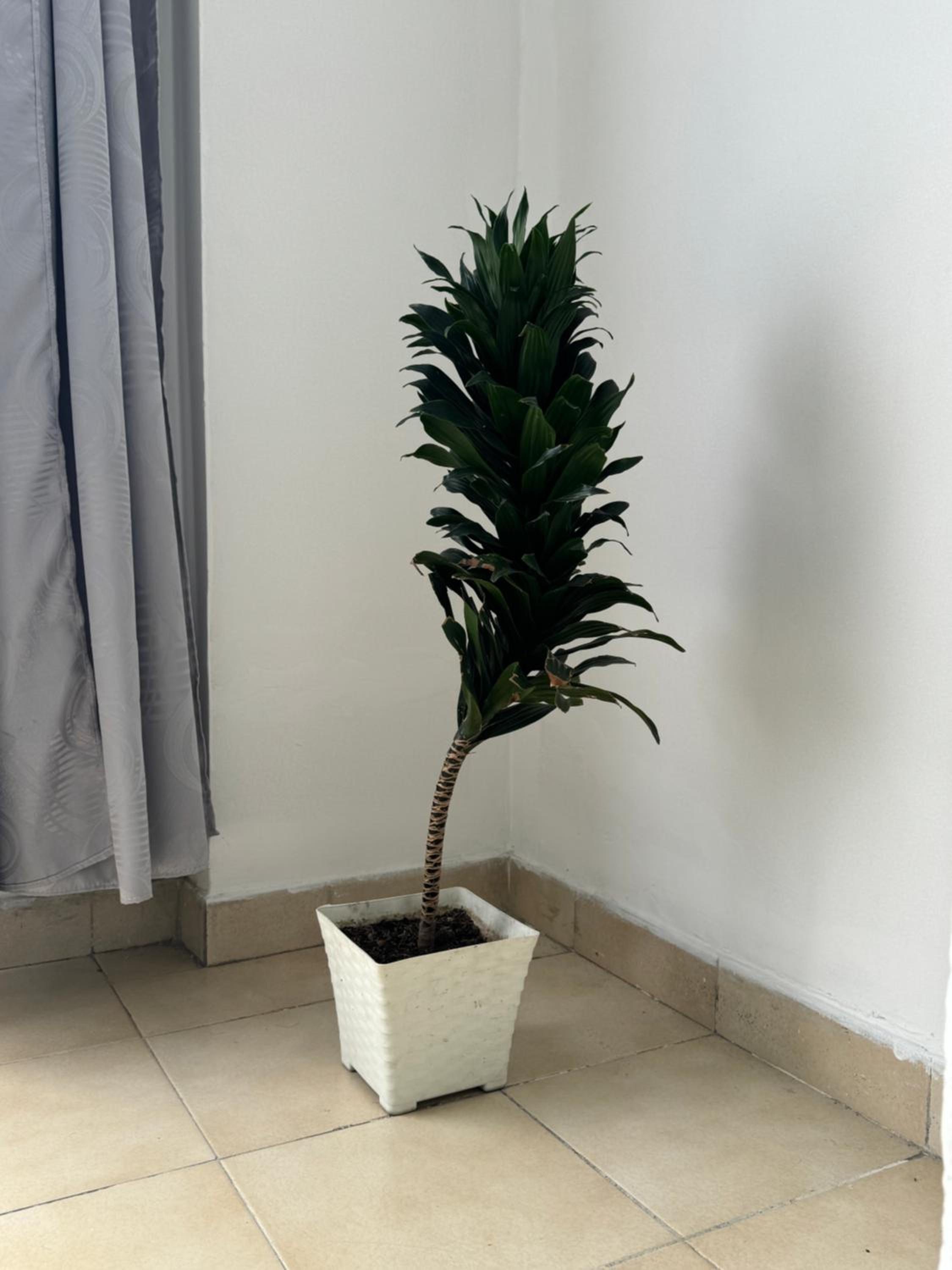 Apartamento completo con terraza y piscina