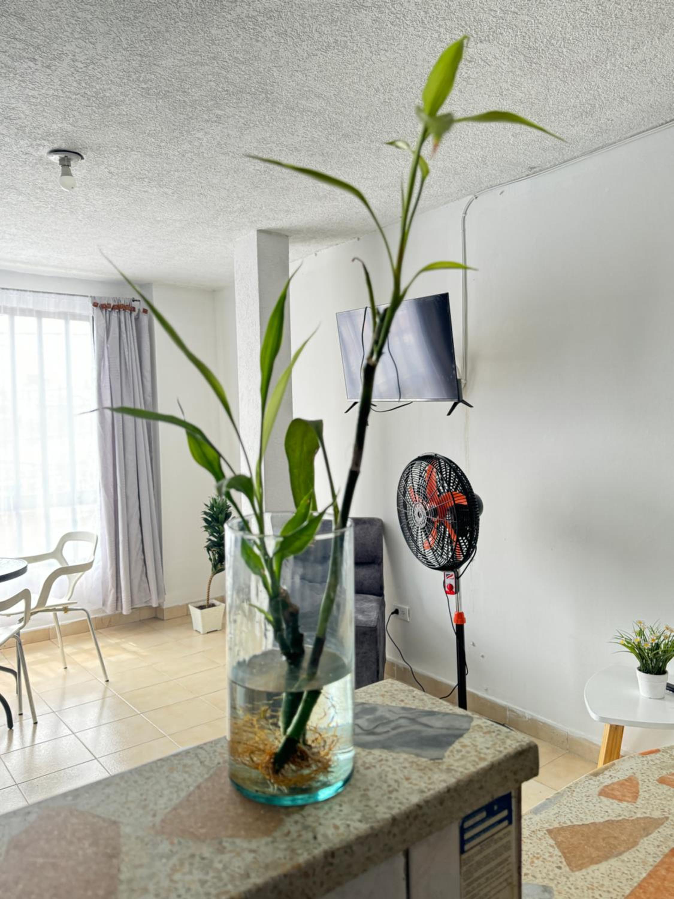 Apartamento completo con terraza y piscina