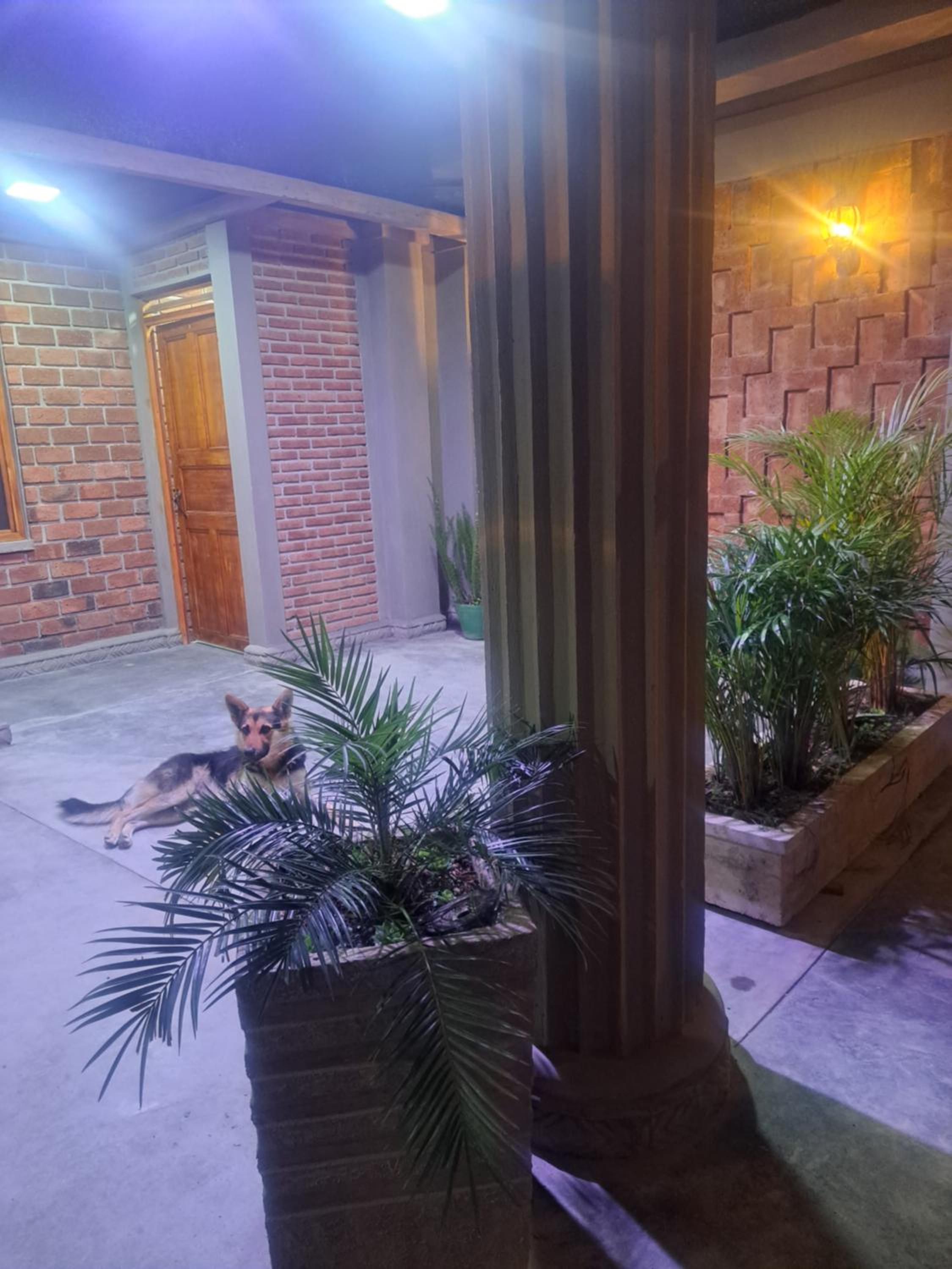hostal la parada colon - putumayo