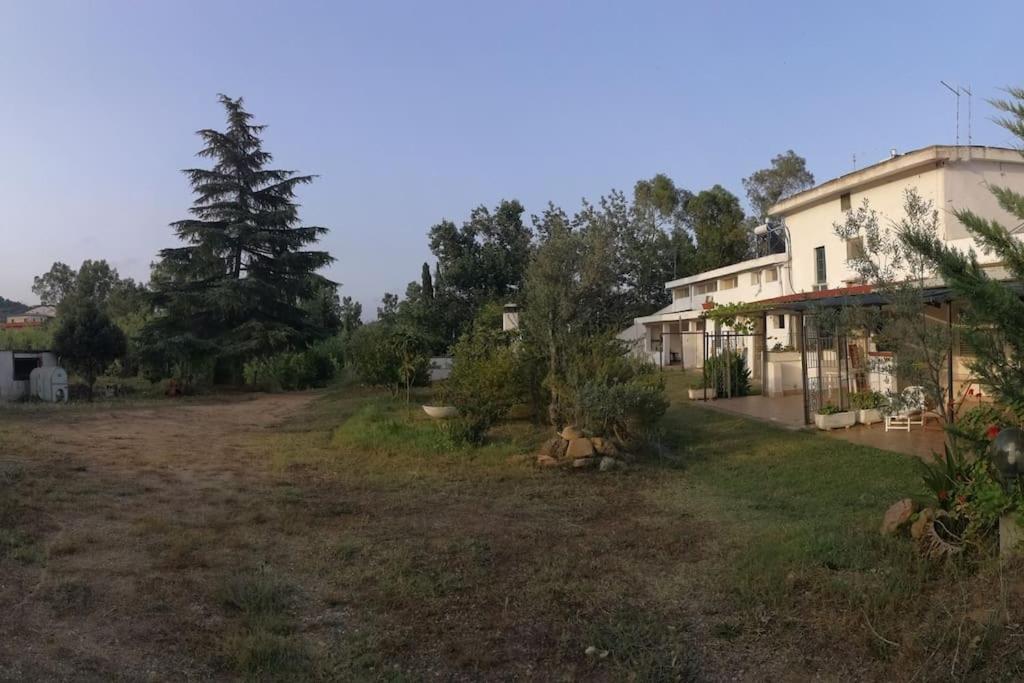 Artist House
