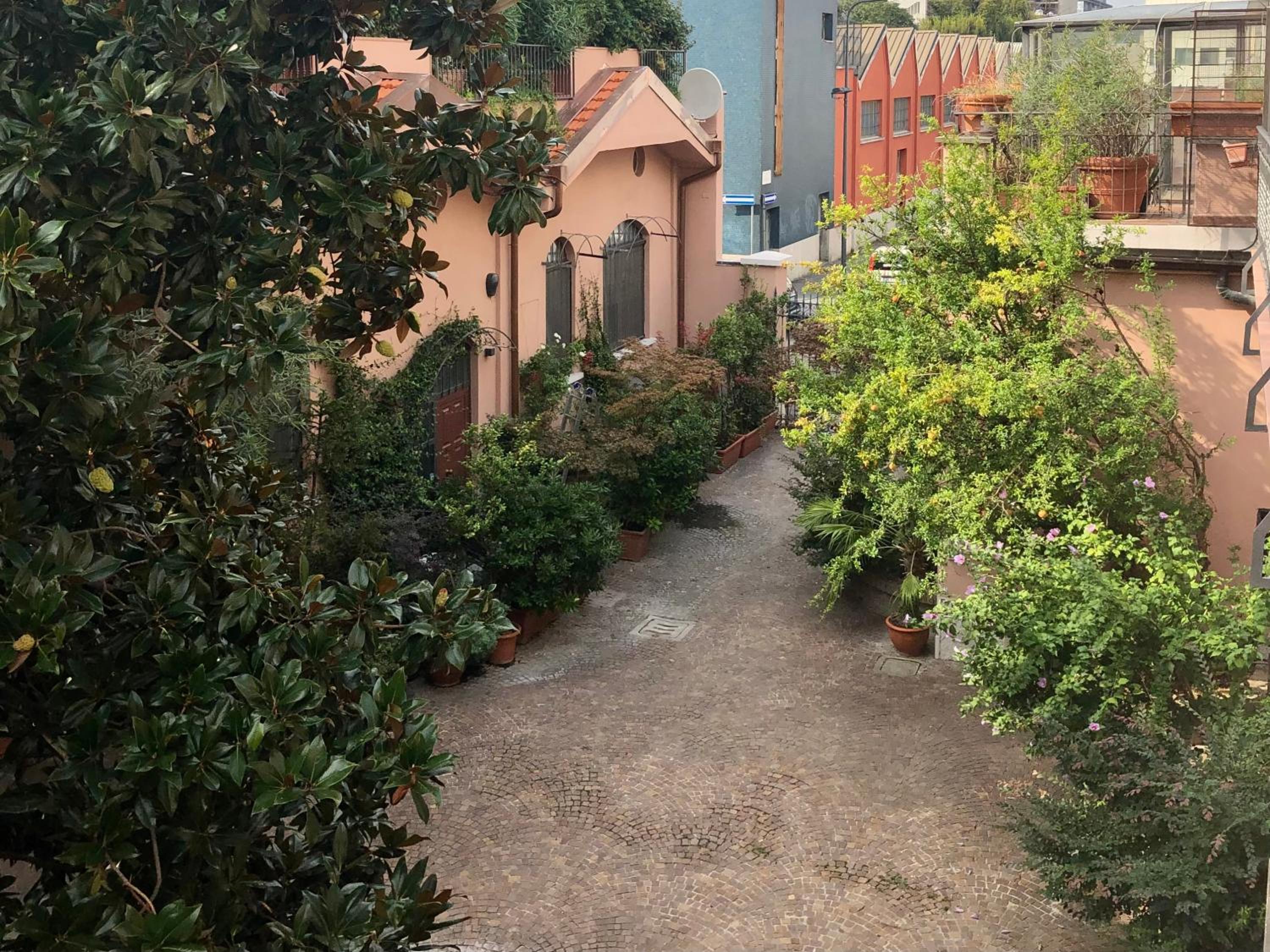 Magnolia House