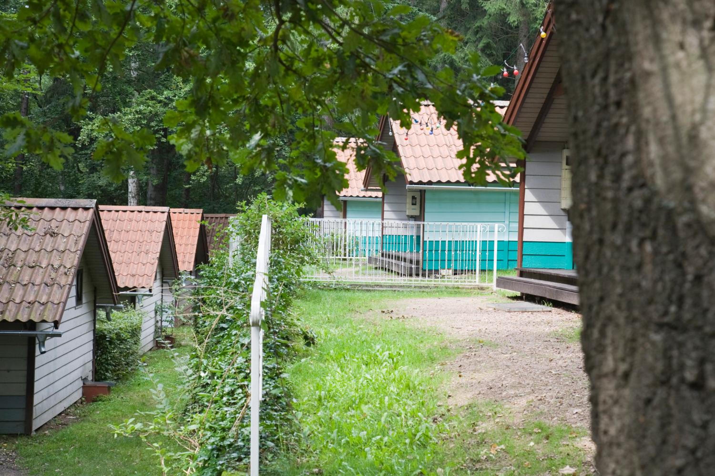 Waldidylle - Bungalows an der Talsperre Kriebstein