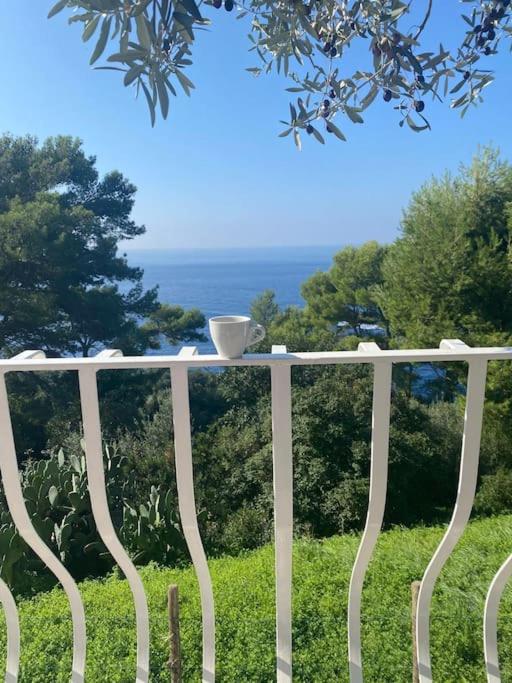 La GEMMA di Orrico photo 4