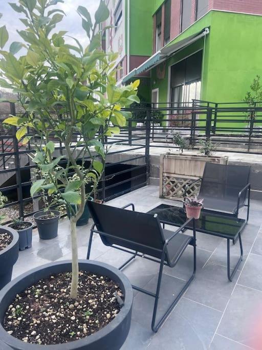 Deluxe Flat with garden_Tirana