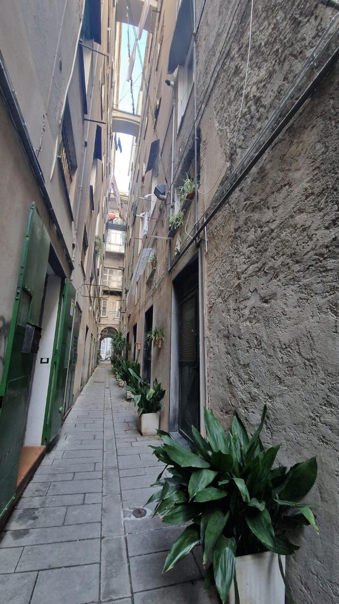 La perla di Ro view 5