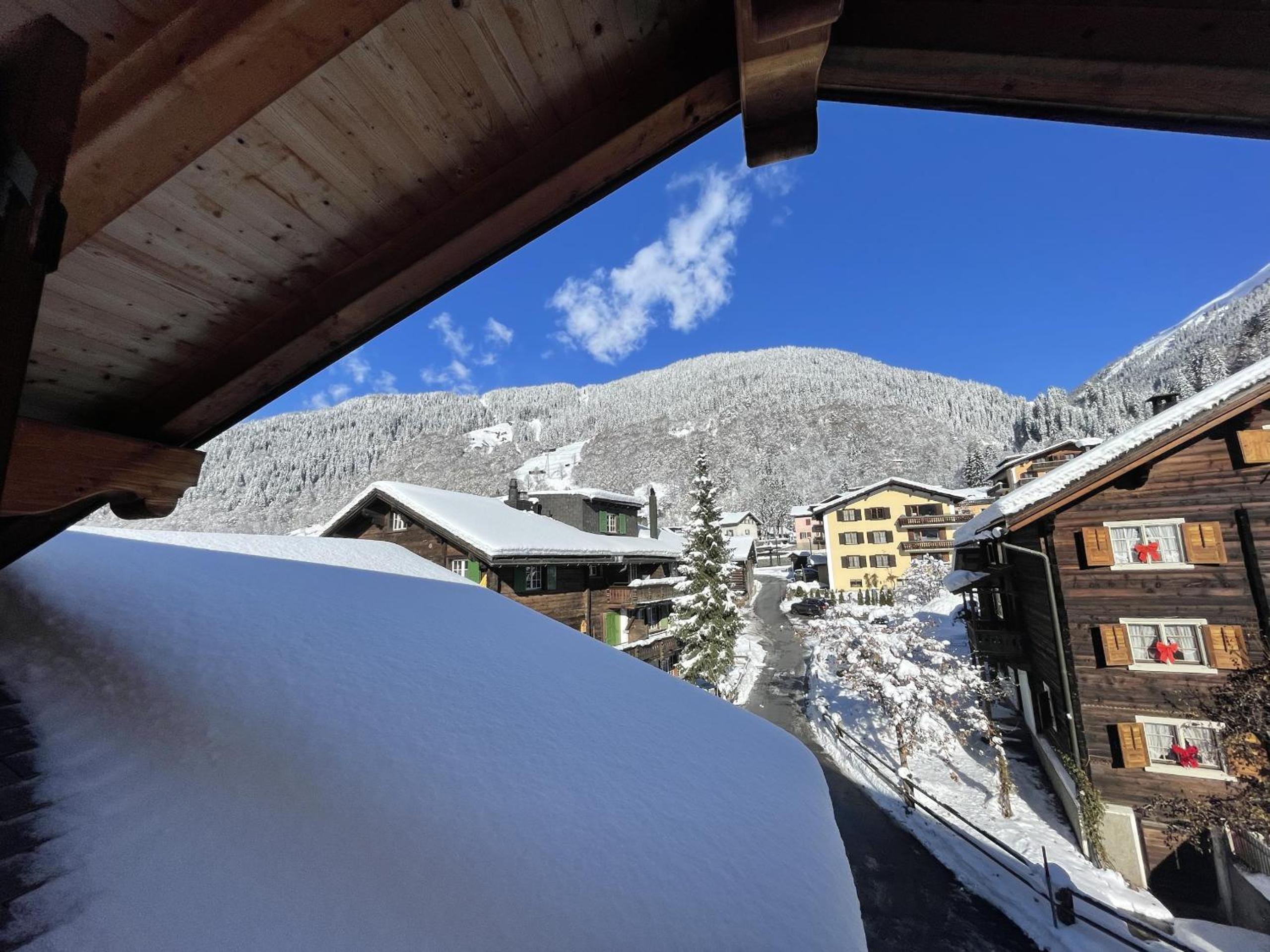 Alpine Style