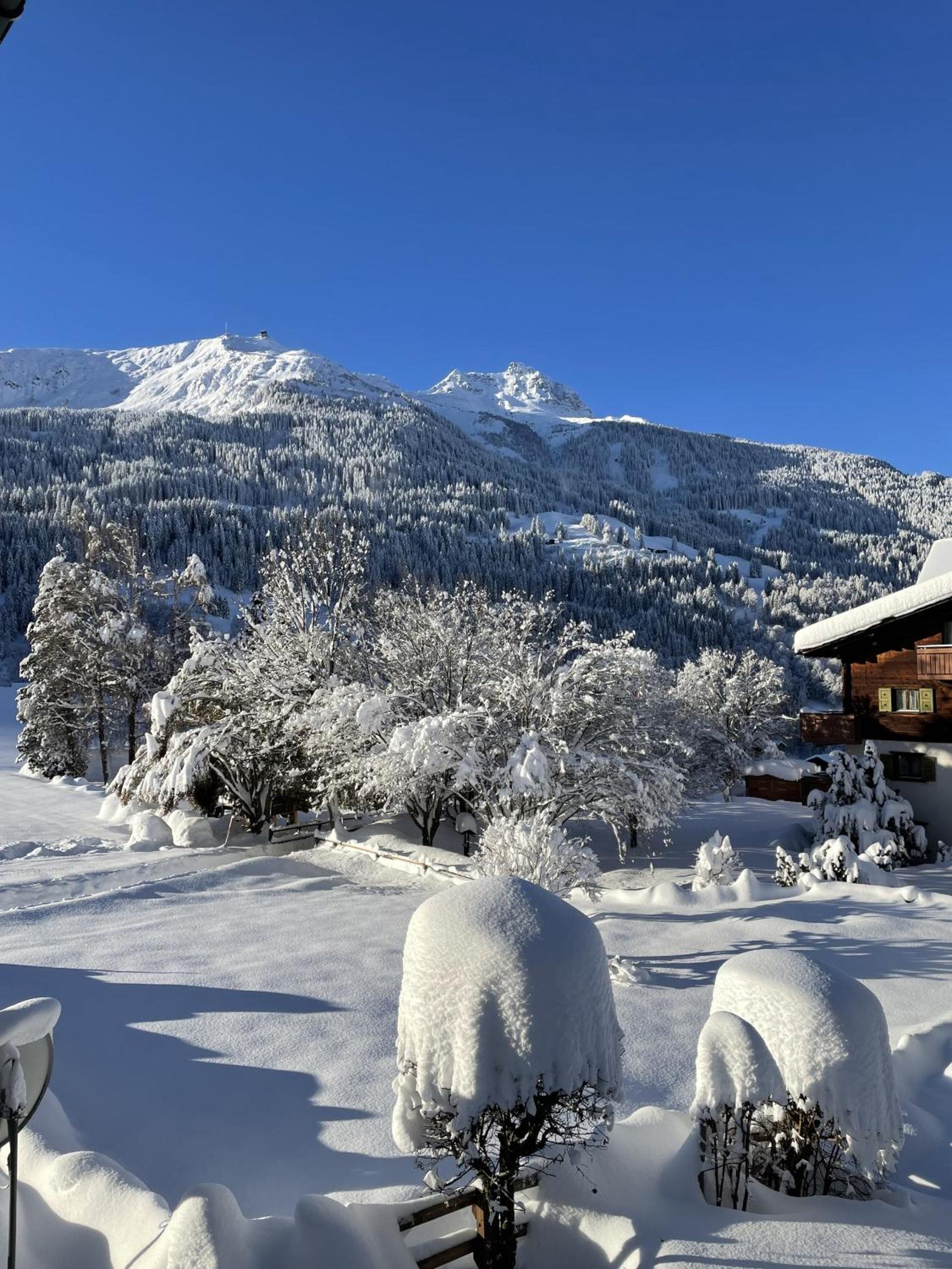 Alpine Style