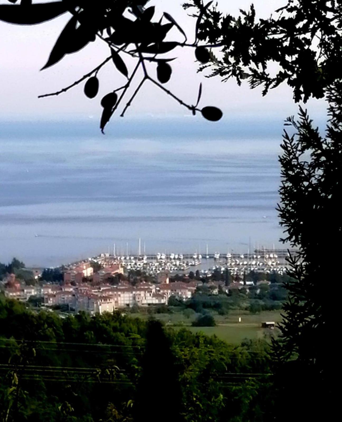 OLIVES HOUSE in Izola view 4