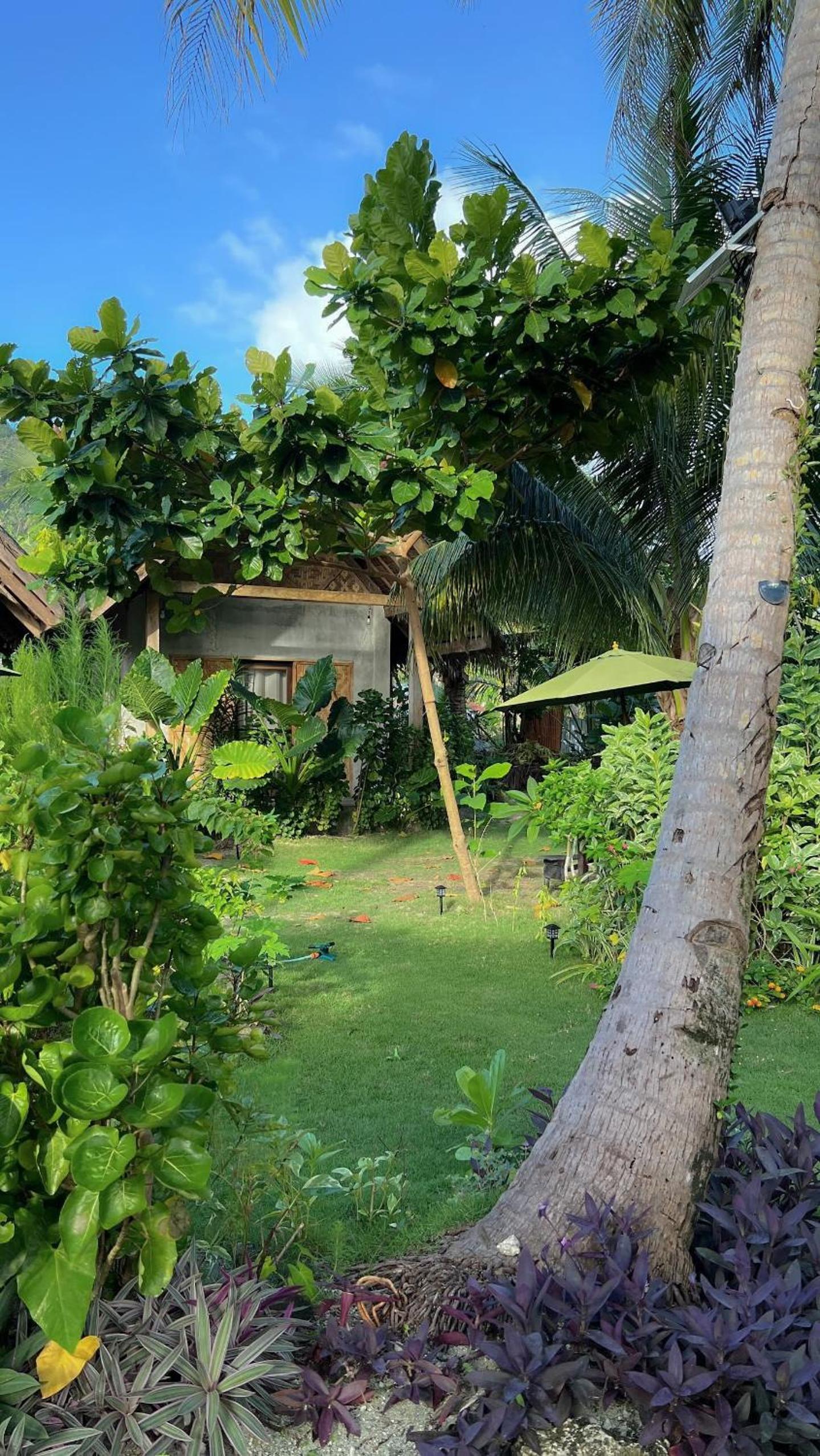 Coleto Siargao