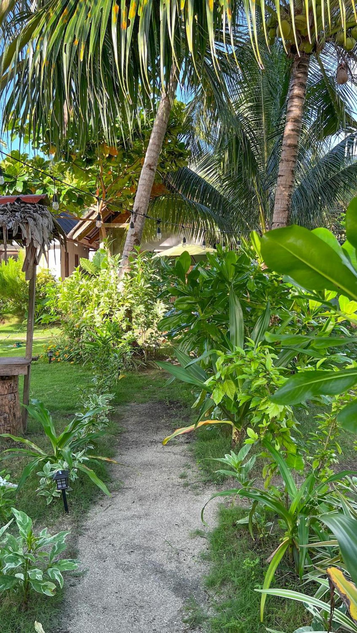Coleto Siargao