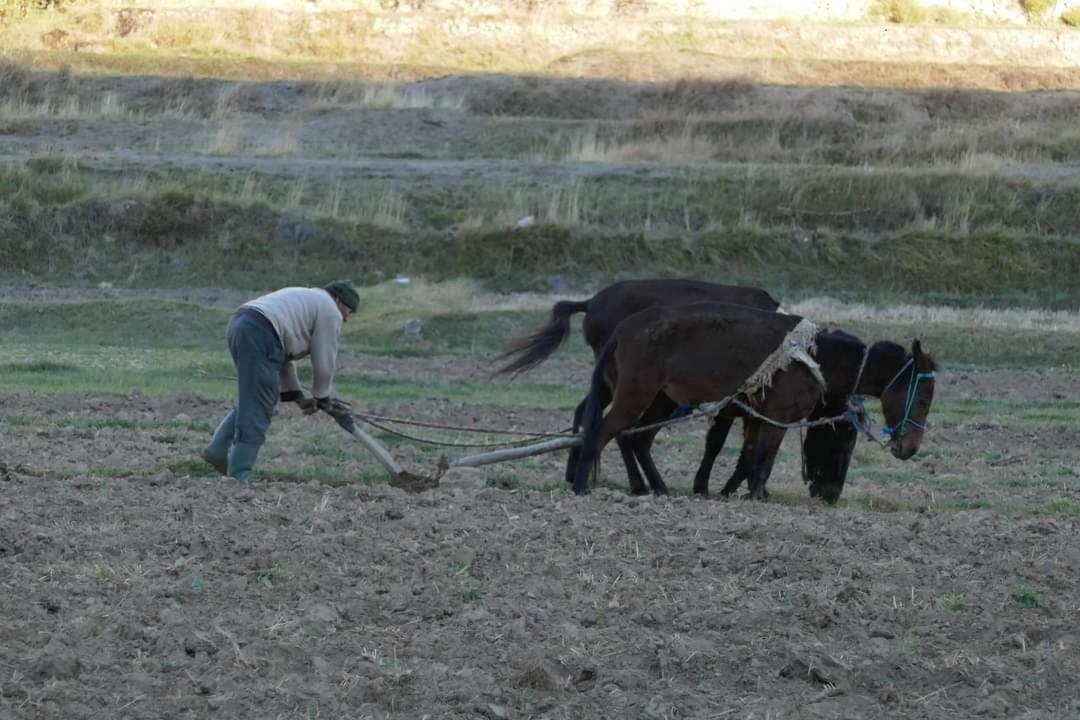 Photo 48