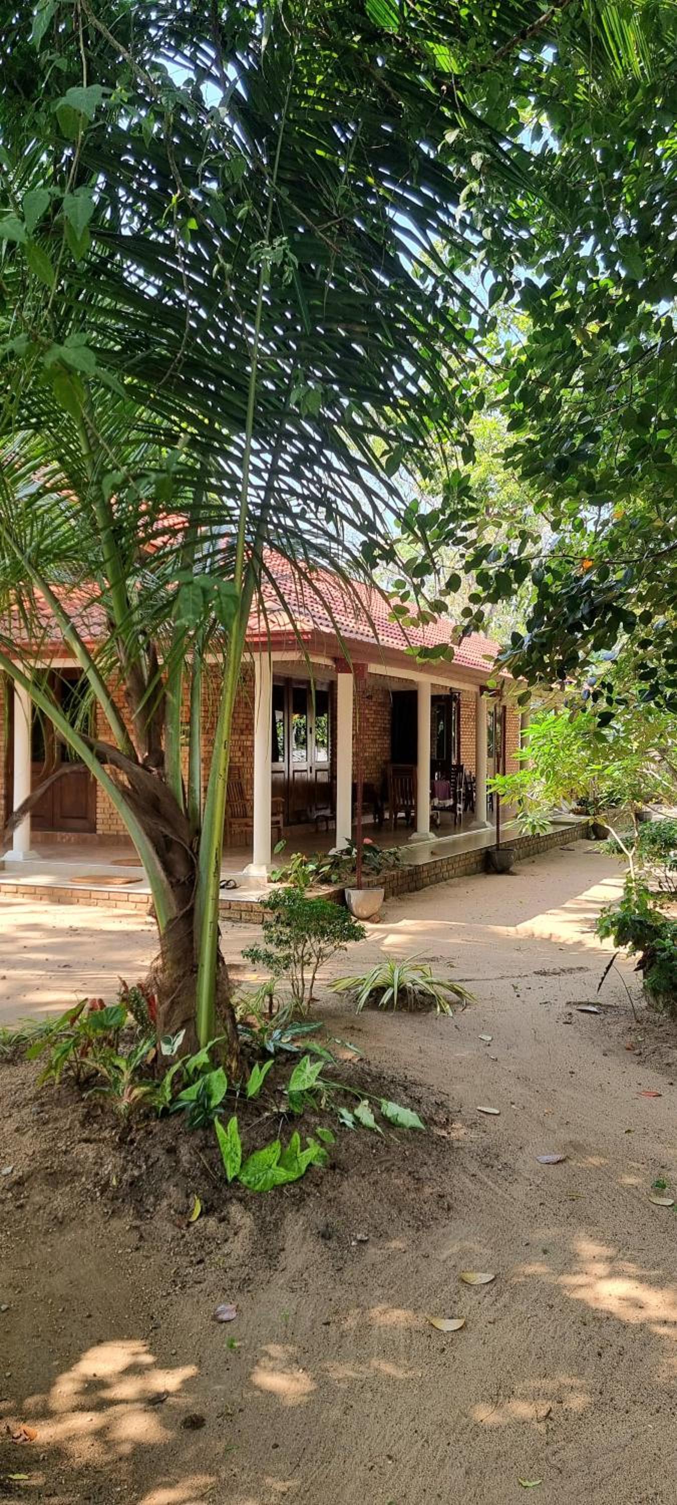 Nature love Negombo