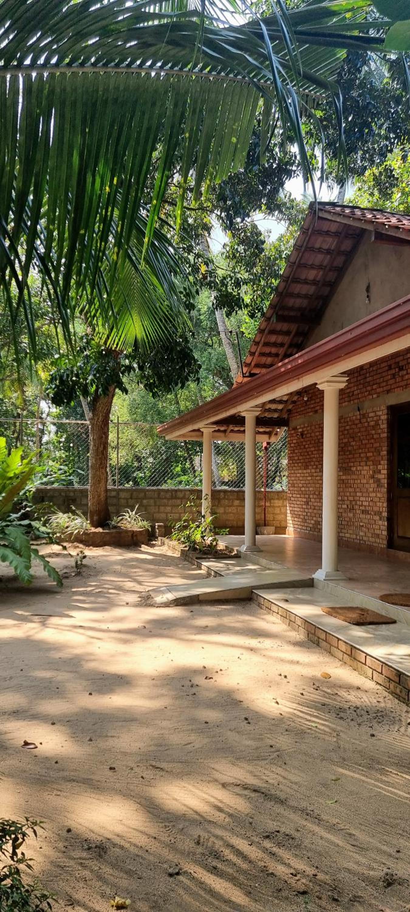 Nature love Negombo