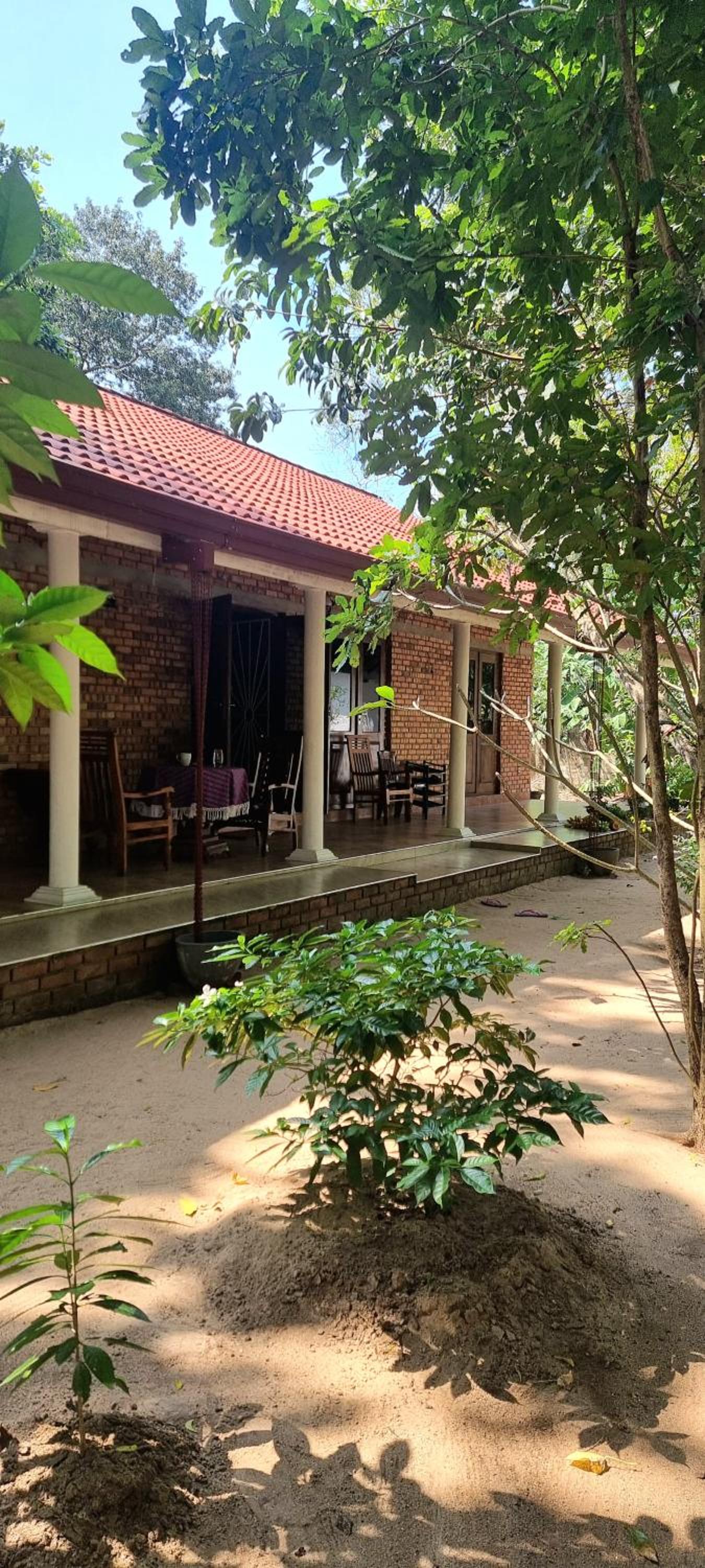 Nature love Negombo