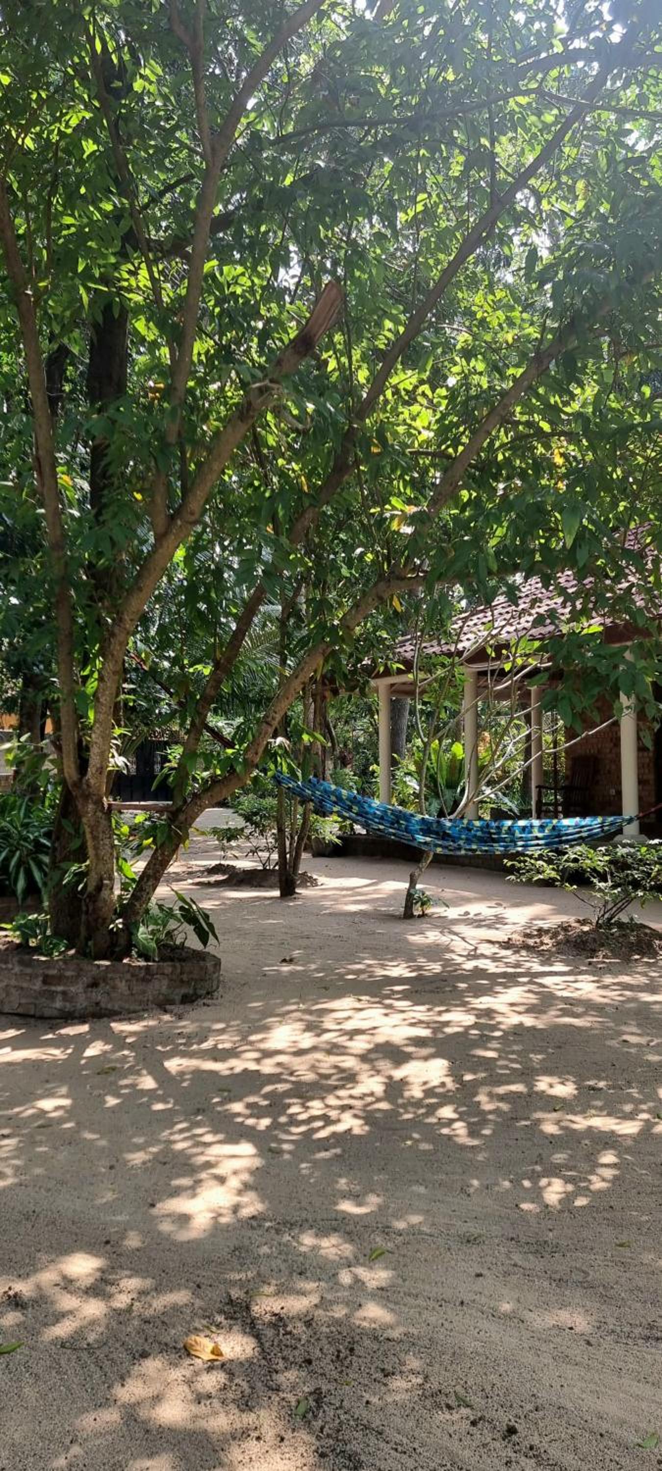 Nature love Negombo