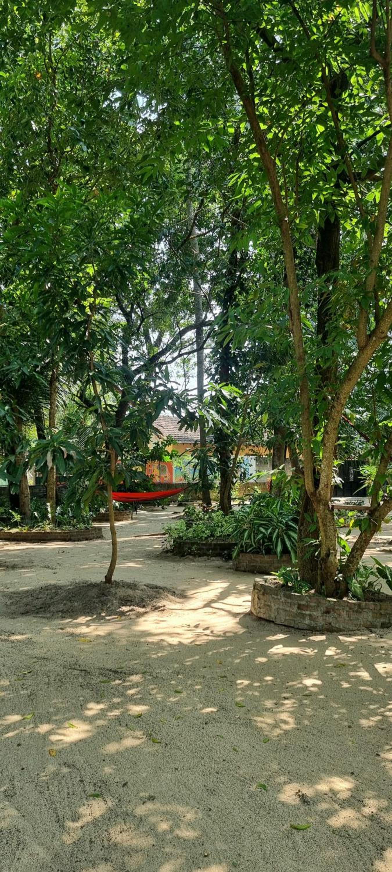 Nature love Negombo