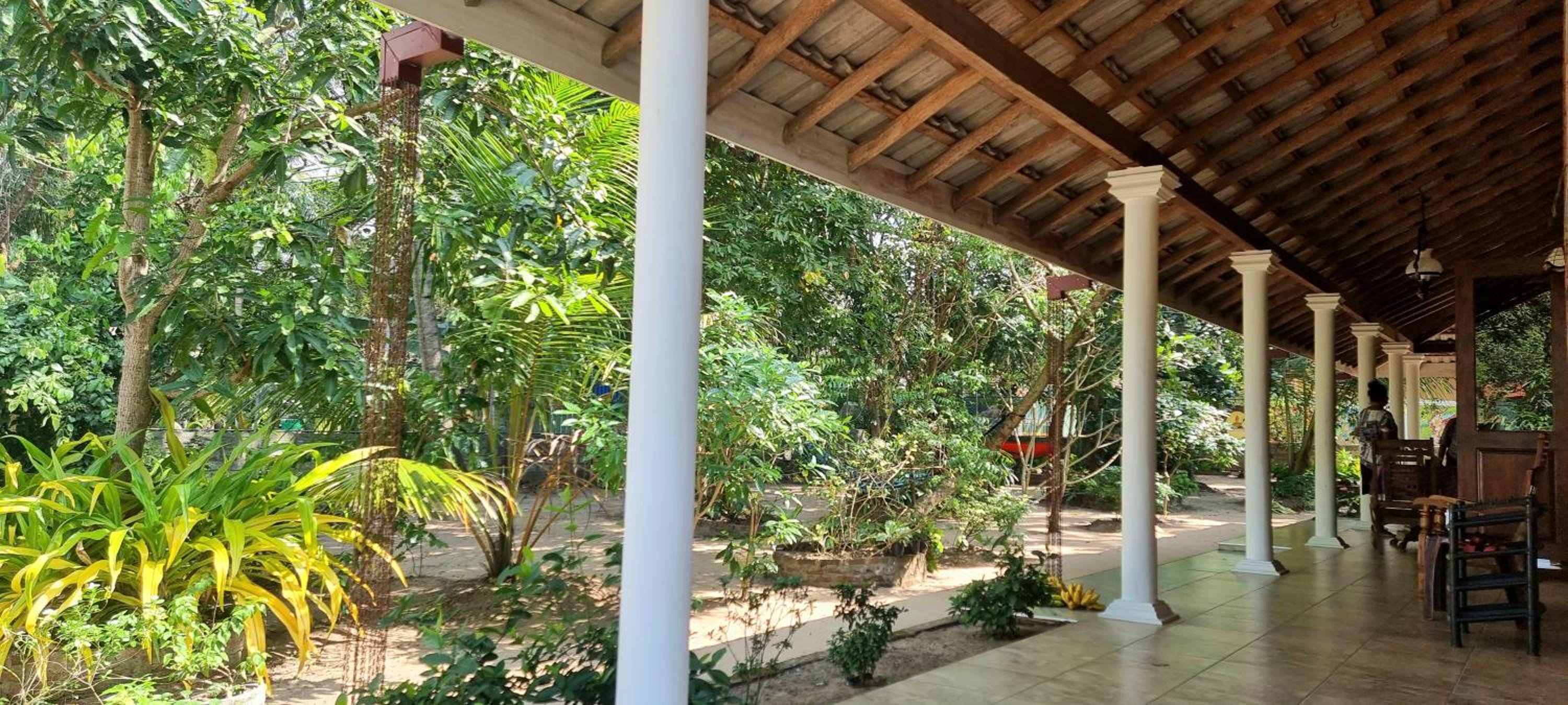 Nature love Negombo