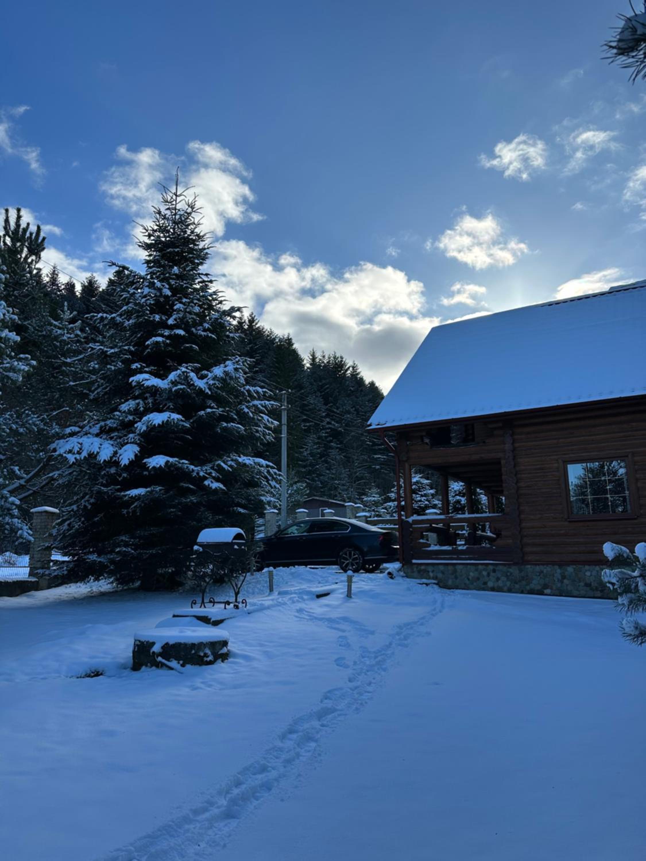 Cottage Forest House