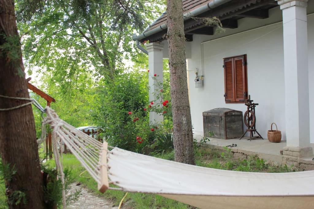 Alsópetényi erdőszéli vendégház