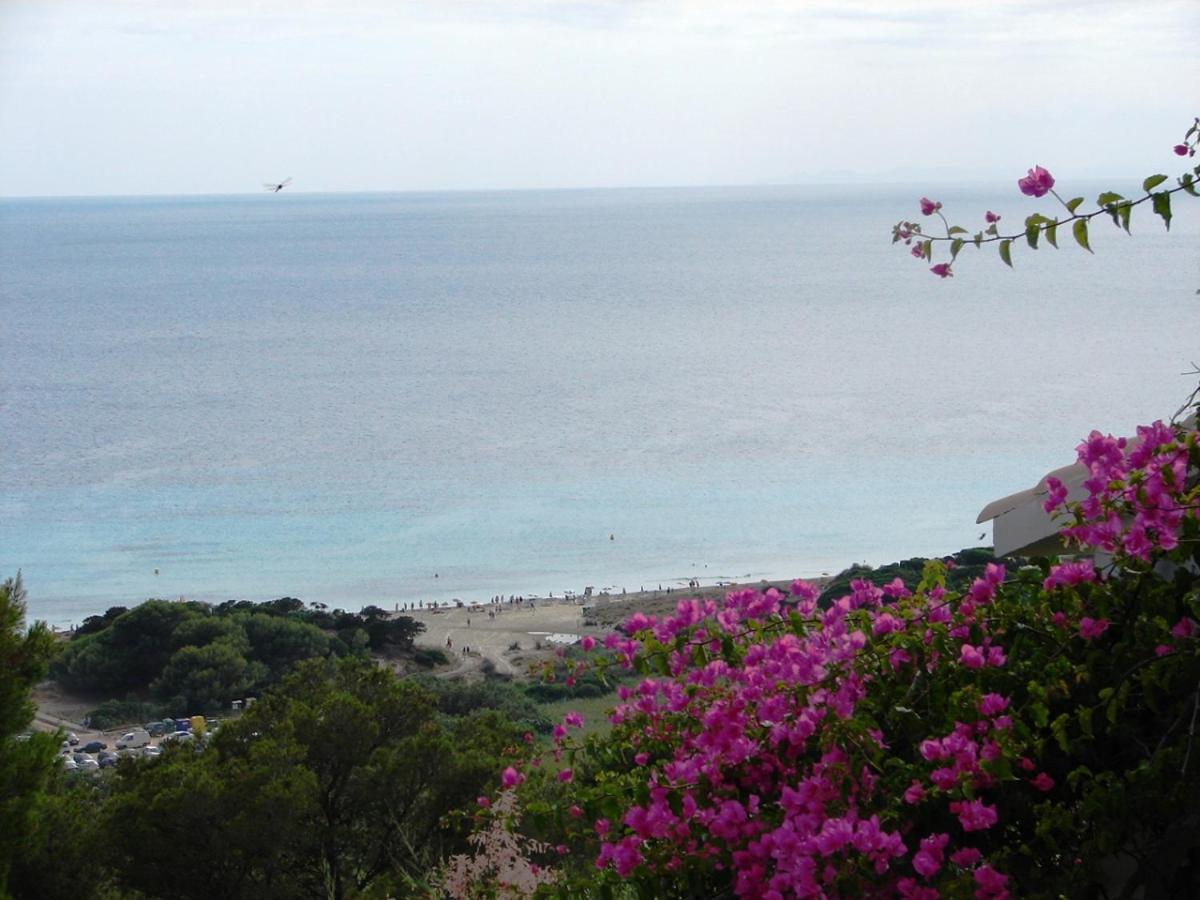 LUCKY Grazioso appartamento vista mare