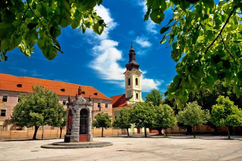Karlovačka zvijezda view 5