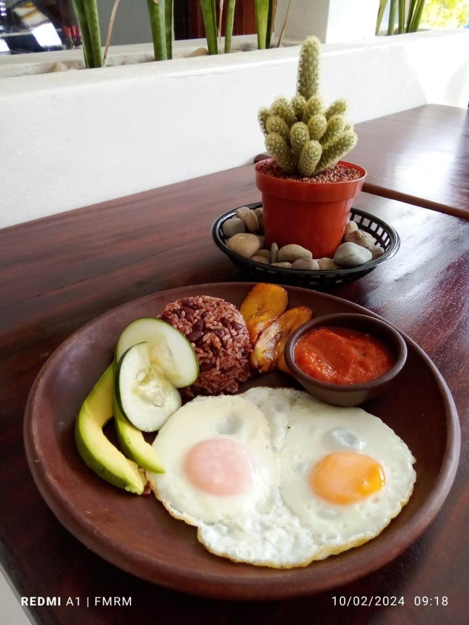 Casa Oro Eco Hostel